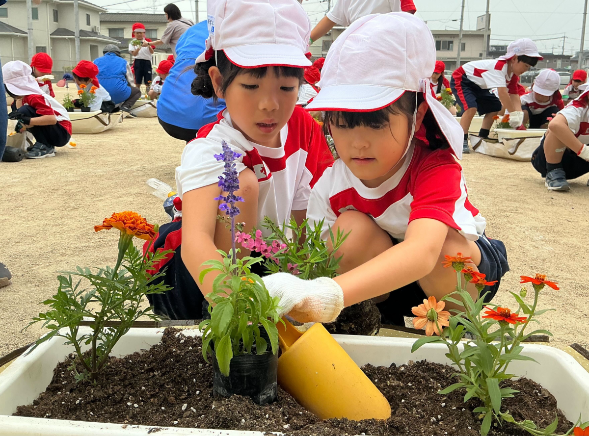 1年生】花いっぱい運動 | 就実小学校 - グローバル社会を豊かに生きる