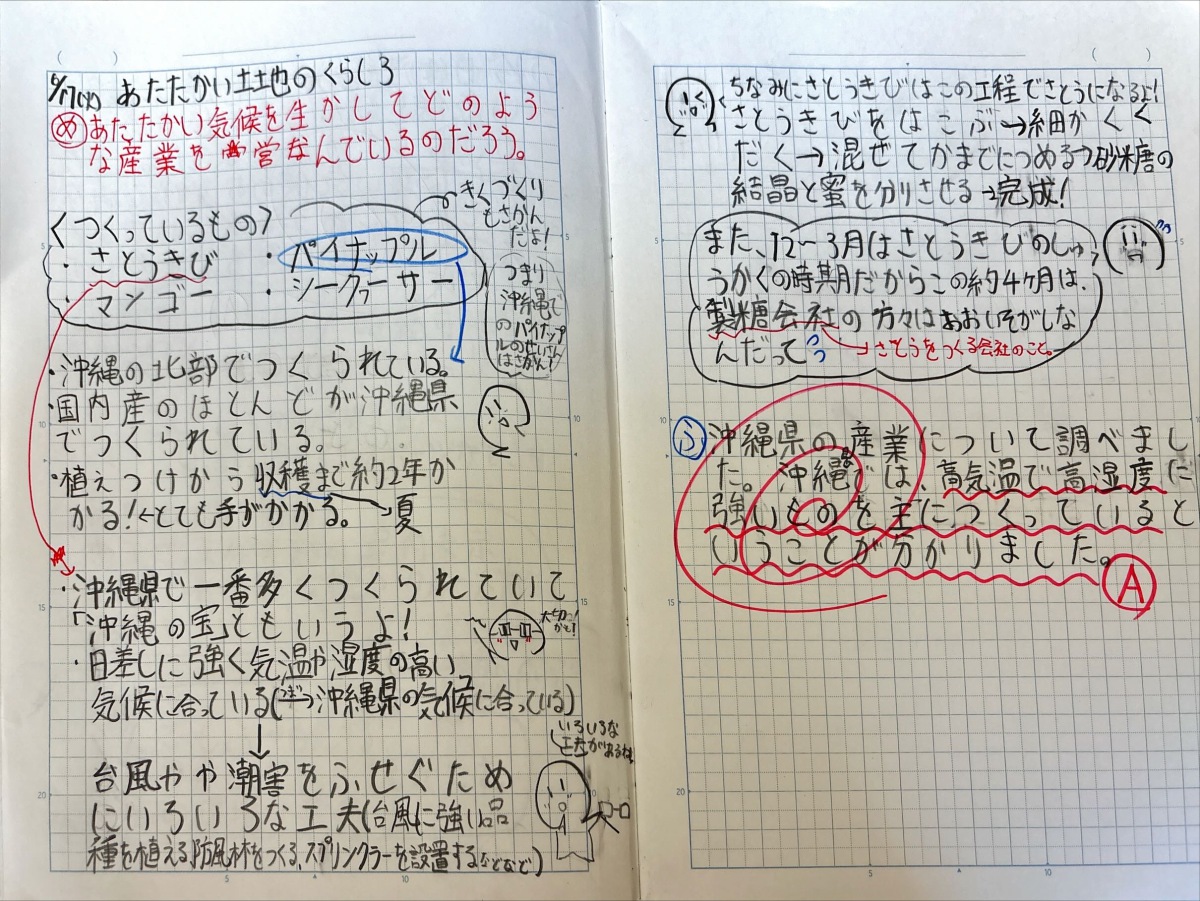 探究レポート】5年生社会科-あたたかい土地のくらし/寒い土地のくらし